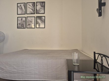 Pronájem bytu, 1+kk, 15 m²