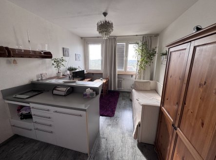 Prodej bytu, 1+kk, 23 m²