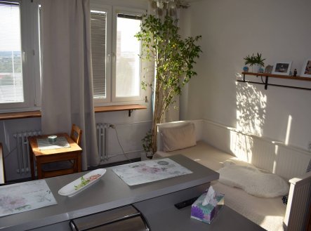 Prodej bytu, 1+kk, 23 m²