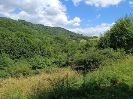 foto: 1 | Prodej - pozemek, trvalý travní porost, 42 844 m²