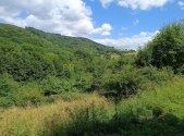 Prodej - pozemek, trvalý travní porost, 42 844 m²