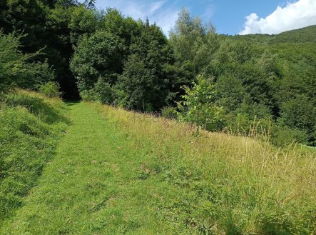 Prodej pozemku, trvalý travní porost, 42 844 m²