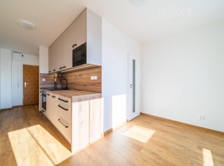 Pronájem bytu, 1+1, 45 m²