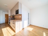 Pronájem bytu, 1+1, 45 m²