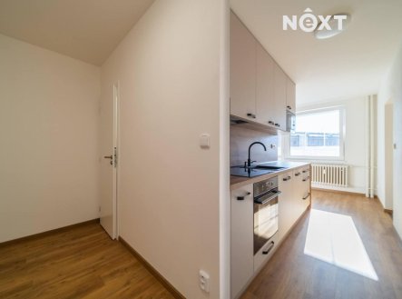 Pronájem bytu, 1+1, 45 m²