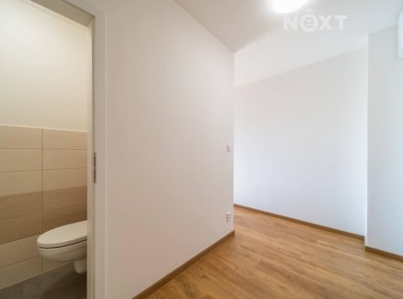 Pronájem bytu, 1+1, 45 m²