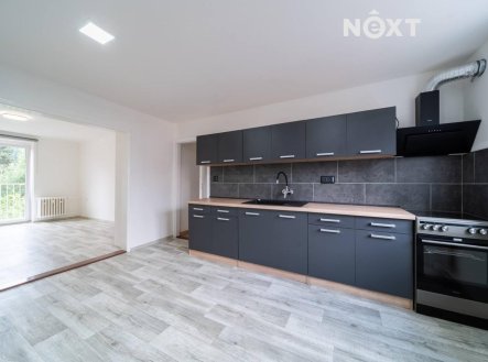 Pronájem bytu, 2+1, 55 m²