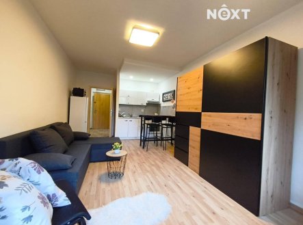 Pronájem bytu, 1+kk, 28 m²