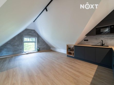 Pronájem bytu, 2+kk, 110 m²