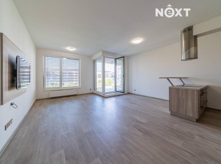 Pronájem bytu, 1+kk, 44 m²