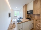 Pronájem bytu, 1+kk, 17 m²
