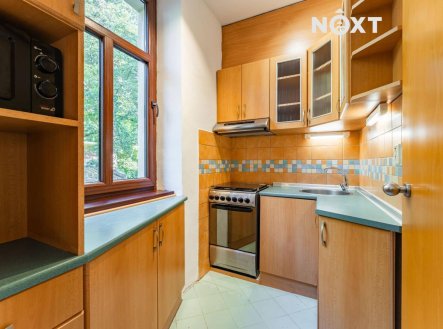 Pronájem bytu, 1+1, 49 m²