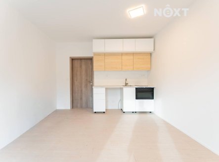 Pronájem bytu, 1+kk, 27 m²