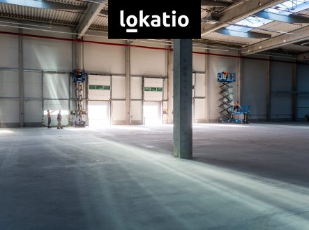 Pronájem komerčního objektu, sklad, 10 446 m²