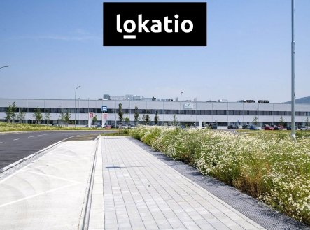 Pronájem komerčního objektu, sklad, 2 613 m²