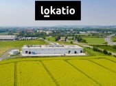 Pronájem komerčního objektu, sklad, 8 994 m²