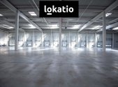 Pronájem komerčního objektu, sklad, 29 524 m²