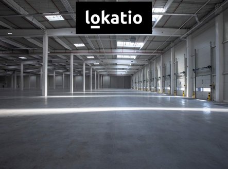Pronájem komerčního objektu, sklad, 29 524 m²