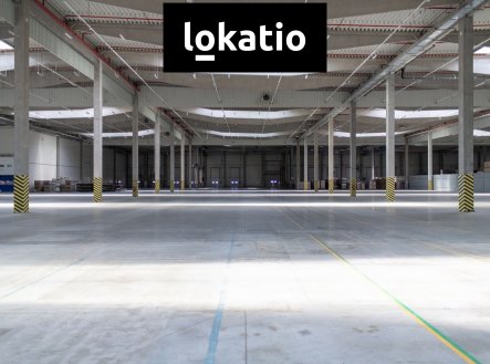 Pronájem komerčního objektu, sklad, 5 000 m²