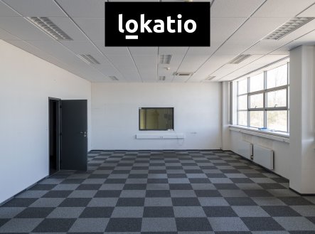 Pronájem komerčního objektu, sklad, 14 000 m²