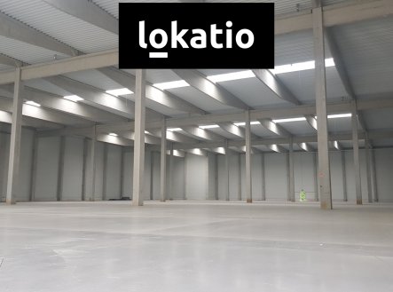 Pronájem komerčního objektu, sklad, 4 500 m²