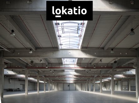 Pronájem komerčního objektu, výroba, 4 242 m²