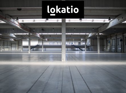 Pronájem komerčního objektu, výroba, 4 242 m²
