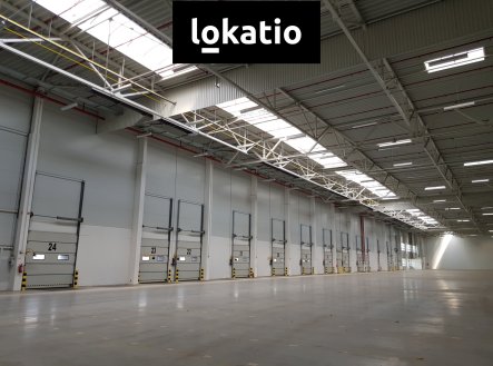 Pronájem komerčního objektu, sklad, 19 910 m²