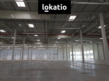 Pronájem komerčního objektu, sklad, 19 910 m²