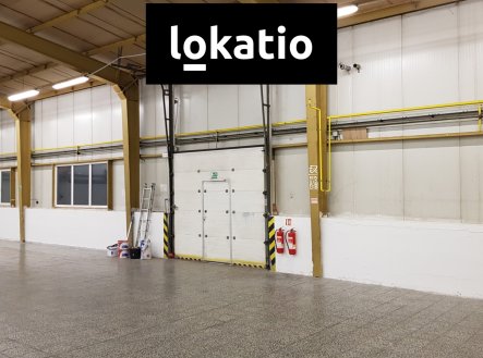 Pronájem komerčního objektu, sklad, 1 237 m²