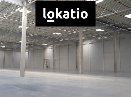 Pronájem komerčního objektu, sklad, 13 751 m²