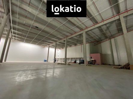 Pronájem komerčního objektu, sklad, 10 000 m²