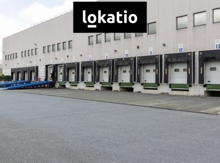 Pronájem komerčního objektu, sklad, 40 685 m²