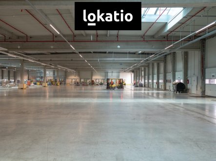 Pronájem komerčního objektu, sklad, 8 794 m²