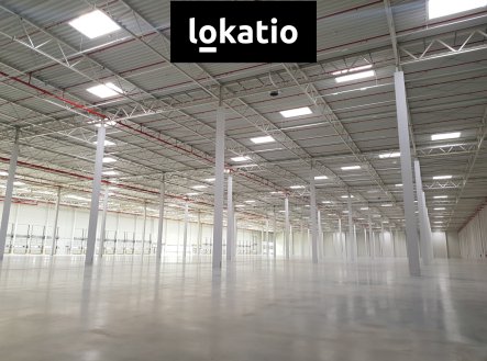 Pronájem komerčního objektu, sklad, 5 061 m²