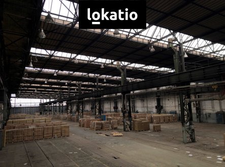 Pronájem komerčního objektu, výroba, 5 500 m²