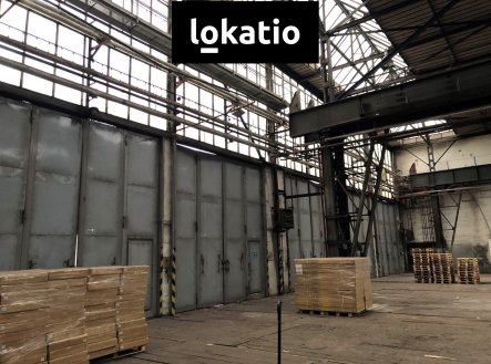 Pronájem komerčního objektu, výroba, 5 500 m²