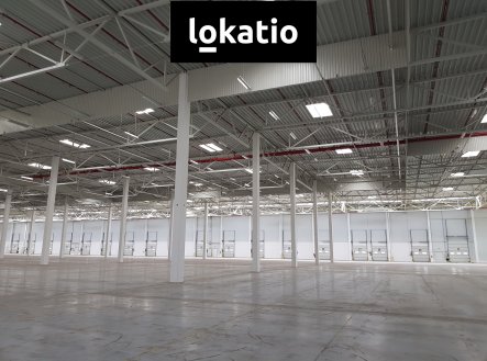 Pronájem komerčního objektu, sklad, 14 466 m²