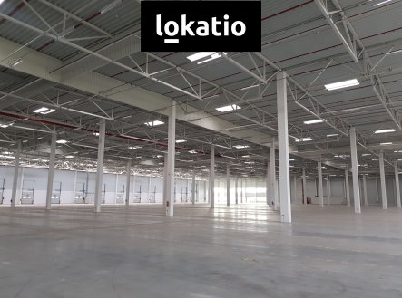 Pronájem komerčního objektu, sklad, 7 000 m²
