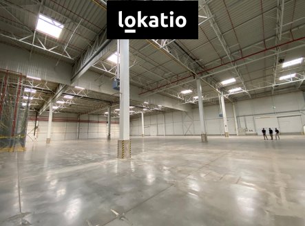 Pronájem komerčního objektu, sklad, 16 895 m²
