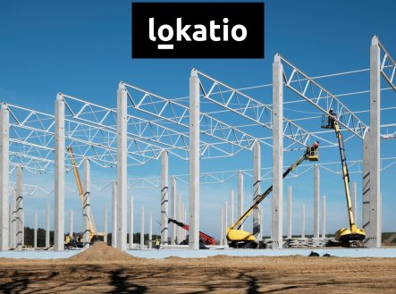 Pronájem komerčního objektu, sklad, 12 208 m²