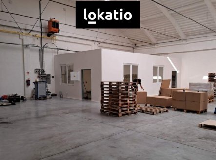 Pronájem komerčního objektu, sklad, 1 170 m²