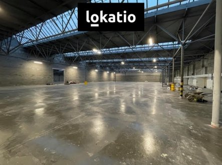Pronájem komerčního objektu, sklad, 2 000 m²
