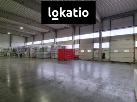 Pronájem komerčního objektu, sklad, 7 500 m²