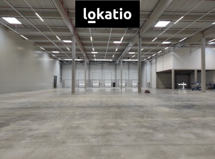 Pronájem komerčního objektu, sklad, 7 420 m²