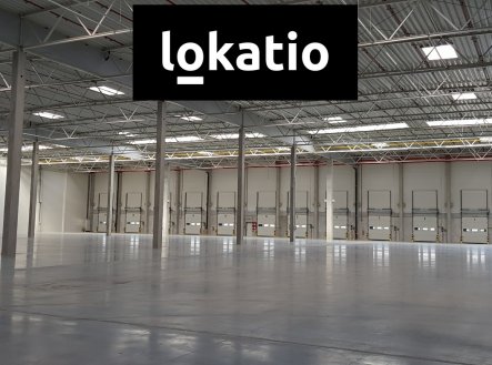 Pronájem komerčního objektu, sklad, 8 883 m²