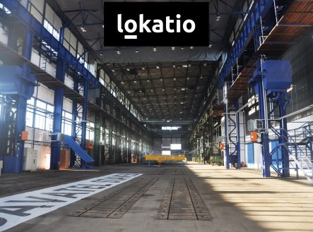 Pronájem komerčního objektu, sklad, 5 000 m²