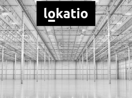 Pronájem komerčního objektu, sklad, 11 000 m²