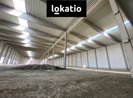 Pronájem komerčního objektu, sklad, 6 800 m²