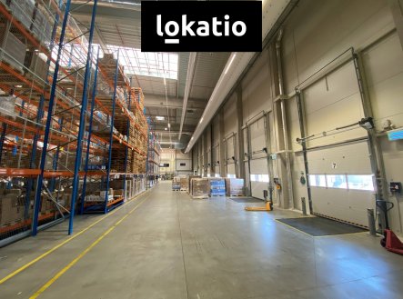 Pronájem komerčního objektu, sklad, 3 682 m²